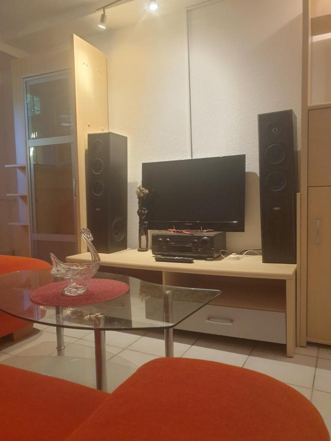 Sions Grosse Ferienwohnung Ferienwohnung Mit 3 Schlafzimmer, 2 Km Bis Zum Europapark Rust Kappel-Grafenhausen Bagian luar foto